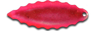 B5G-54  3 PK/#54 RASP KOOLADE GO